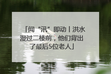 闻“汛”即动丨洪水漫过二楼前，他们背出了最后5位老人