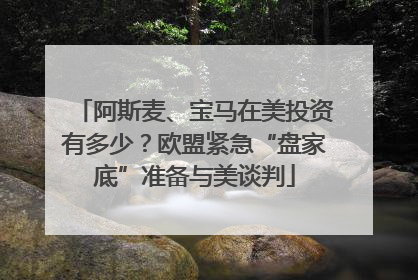 阿斯麦、宝马在美投资有多少？欧盟紧急“盘家底”准备与美谈判