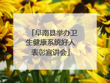 阜南县举办卫生健康系统好人表彰宣讲会