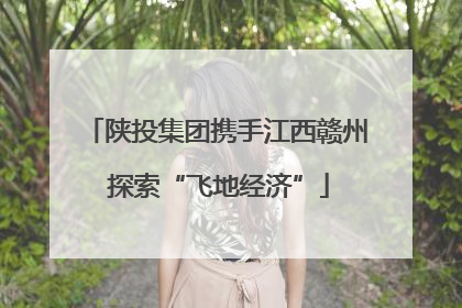 陕投集团携手江西赣州 探索“飞地经济”