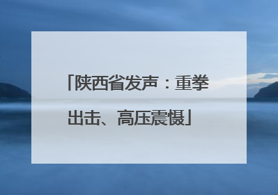 陕西省发声：重拳出击、高压震慑