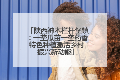 陕西神木栏杆堡镇：一垄瓜苗一垄药香 特色种植激活乡村振兴新动能