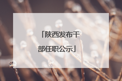 陕西发布干部任职公示