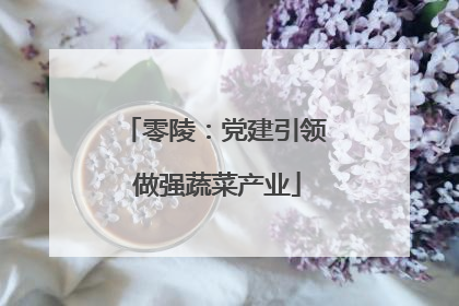 零陵：党建引领 做强蔬菜产业