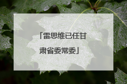 雷思维已任甘肃省委常委