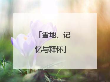 雪地、记忆与释怀