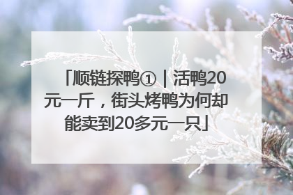 顺链探鸭①｜活鸭20元一斤，街头烤鸭为何却能卖到20多元一只
