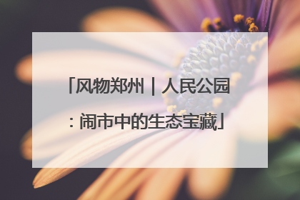 风物郑州｜人民公园：闹市中的生态宝藏