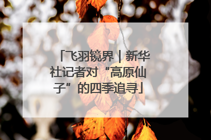 飞羽镜界｜新华社记者对“高原仙子”的四季追寻