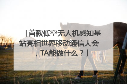 首款低空无人机感知基站亮相世界移动通信大会，TA能做什么？