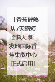 香蕉催熟从7天缩短到3天 新发地国际香蕉集散中心正式启用