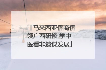 马来西亚侨商侨领广西研修 学中医看非遗谋发展