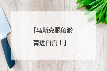 马斯克眼角淤青进白宫！
