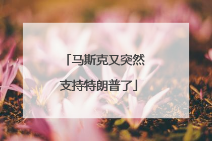马斯克又突然支持特朗普了