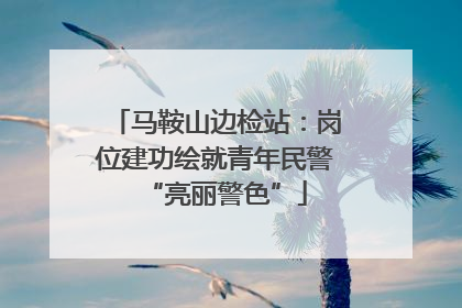 马鞍山边检站：岗位建功绘就青年民警“亮丽警色”