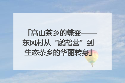 高山茶乡的蝶变——东风村从“鹧鸪营”到生态茶乡的华丽转身