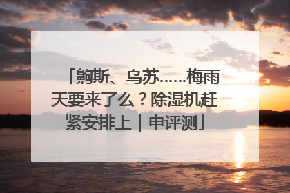 齁斯、乌苏……梅雨天要来了么？除湿机赶紧安排上｜申评测