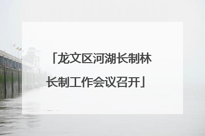 龙文区河湖长制林长制工作会议召开