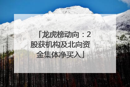 龙虎榜动向：2股获机构及北向资金集体净买入