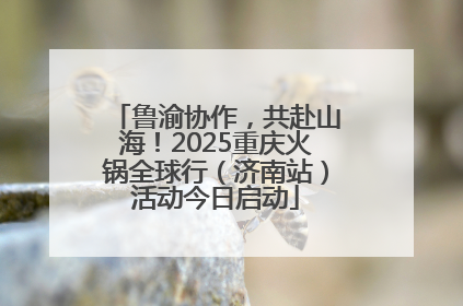 鲁渝协作，共赴山海！2025重庆火锅全球行（济南站）活动今日启动