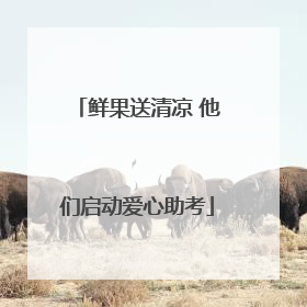 鲜果送清凉 他们启动爱心助考