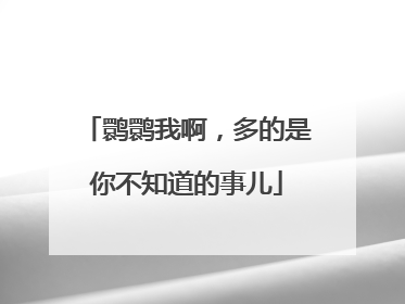 鹮鹮我啊，多的是你不知道的事儿