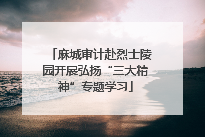 麻城审计赴烈士陵园开展弘扬“三大精神”专题学习