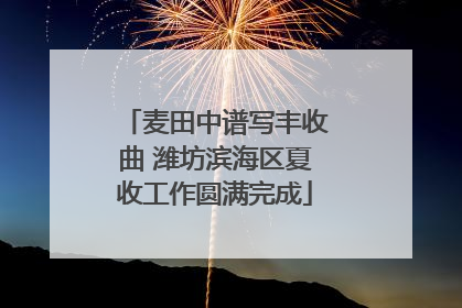 麦田中谱写丰收曲 潍坊滨海区夏收工作圆满完成