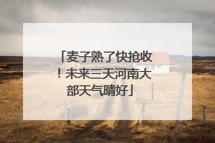 麦子熟了快抢收！未来三天河南大部天气晴好
