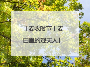 麦收时节丨麦田里的观天人