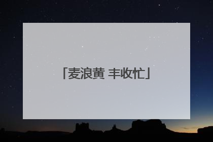 麦浪黄 丰收忙