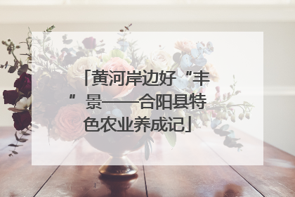 黄河岸边好“丰”景——合阳县特色农业养成记
