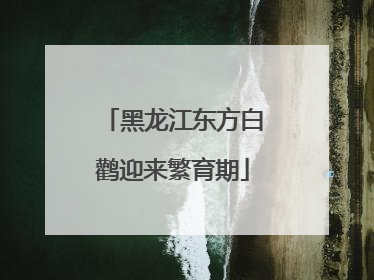 黑龙江东方白鹳迎来繁育期