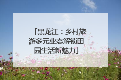 黑龙江：乡村旅游多元业态解锁田园生活新魅力