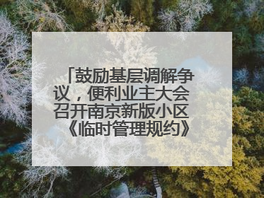 鼓励基层调解争议，便利业主大会召开南京新版小区《临时管理规约》征求意见
