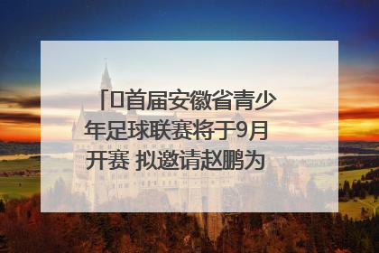 ﻿首届安徽省青少年足球联赛将于9月开赛 拟邀请赵鹏为先导赛开球