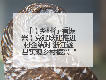 （乡村行·看振兴）党建联建推进村企结对 浙江遂昌实现乡村振兴“加速度”
