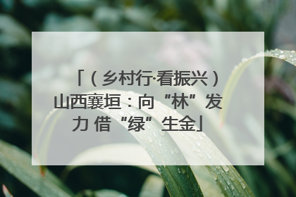 （乡村行·看振兴）山西襄垣：向“林”发力 借“绿”生金