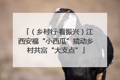 （乡村行·看振兴）江西安福“小西瓜”撬动乡村共富“大支点”