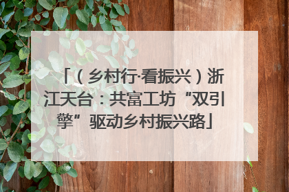 （乡村行·看振兴）浙江天台：共富工坊“双引擎”驱动乡村振兴路