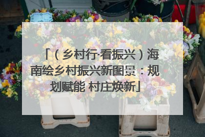 （乡村行·看振兴）海南绘乡村振兴新图景：规划赋能 村庄焕新