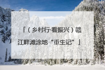 （乡村行·看振兴）赣江畔滩涂地“重生记”