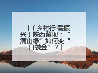 （乡村行·看振兴）陕西留坝：“满山绿”如何变“口袋金”？