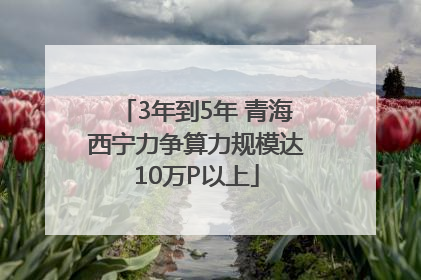 3年到5年 青海西宁力争算力规模达10万P以上