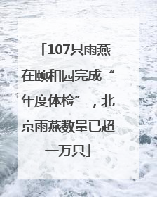 107只雨燕在颐和园完成“年度体检”，北京雨燕数量已超一万只
