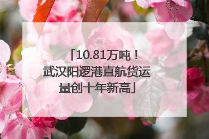 10.81万吨！武汉阳逻港直航货运量创十年新高