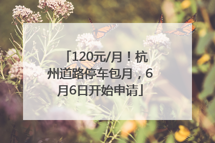 120元/月！杭州道路停车包月，6月6日开始申请