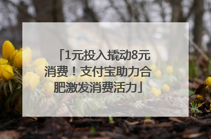 1元投入撬动8元消费！支付宝助力合肥激发消费活力
