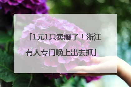 1元1只卖爆了！浙江有人专门晚上出去抓
