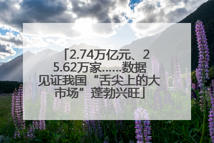 2.74万亿元、25.62万家……数据见证我国“舌尖上的大市场”蓬勃兴旺